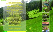 Ревитализација на излетничките места во Шар планина